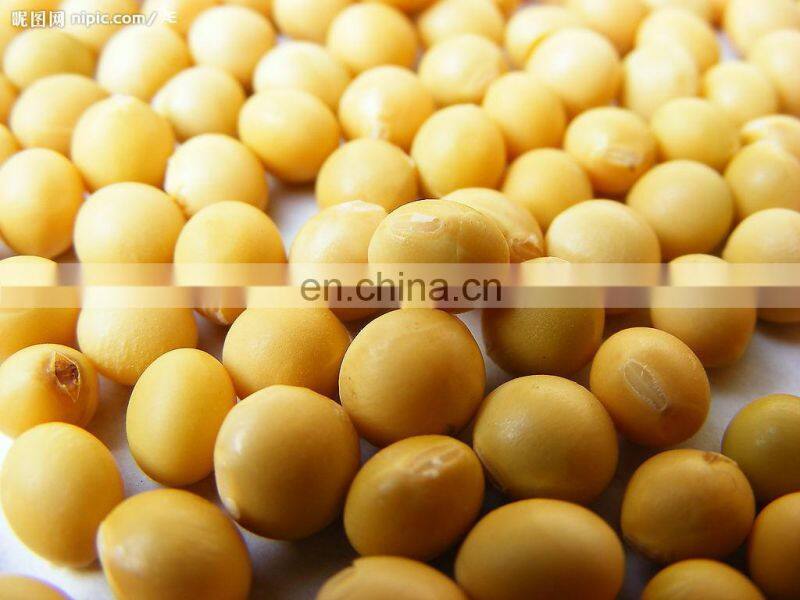 New condition soya drinking yogurt processing line / soy yogurt making machine