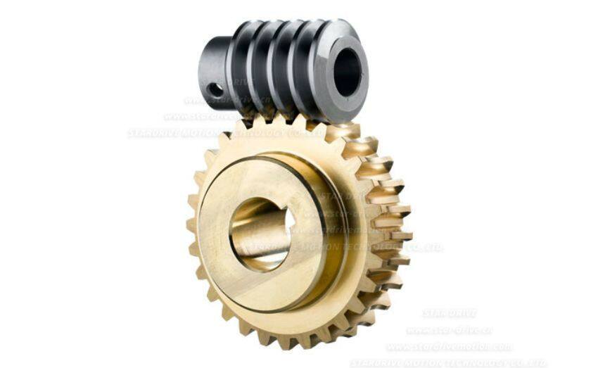 worm_gear_and_worm_wheel88(www_sinomoremotor_com)