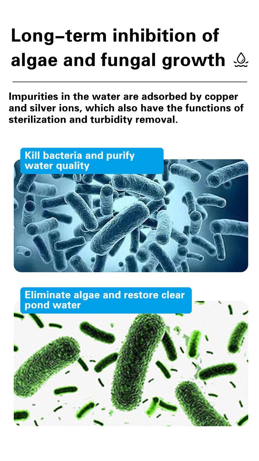 长期抑制藻类和真菌的生长 拷贝.jpg
