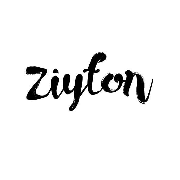 Shenyang Ziyton Trade Co., Ltd.