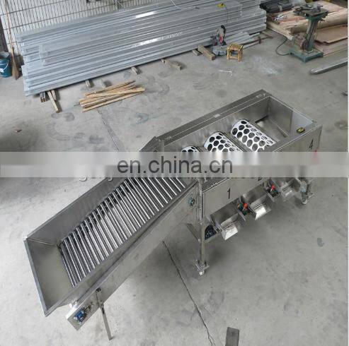 Automatic sweet potato grading machine