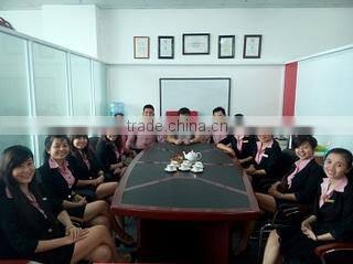 Vilaconic company overview - view 1