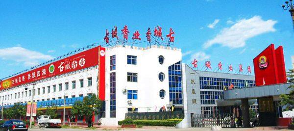 Baoding Gucheng Incense Group Co Ltd company overview - view 2