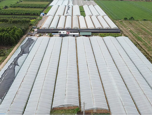 Shijiazhuang Lianshou Seed Sales Co., Ltd. company overview - view 1