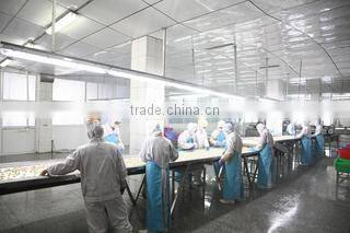 Dandong Taihua Foodstuff Co., Ltd. company overview - view 2