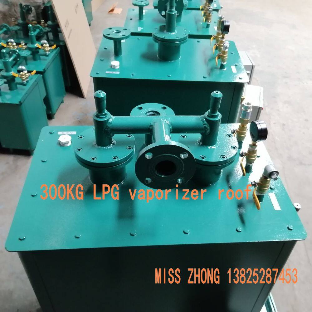 300kg LPG 炉顶.jpg