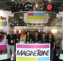 Magnetone Singapore Pte Ltd company overview - view 1