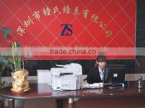 Shenzhen Zhongshi Watch Co., Ltd. company overview - view 1