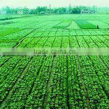 Anqiu Luda International Trade Co., Ltd. company overview - view 3