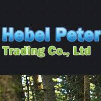 Hebei Pite Trading Co.,Ltd