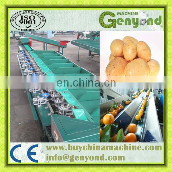 Tomato grading machine for easy operation