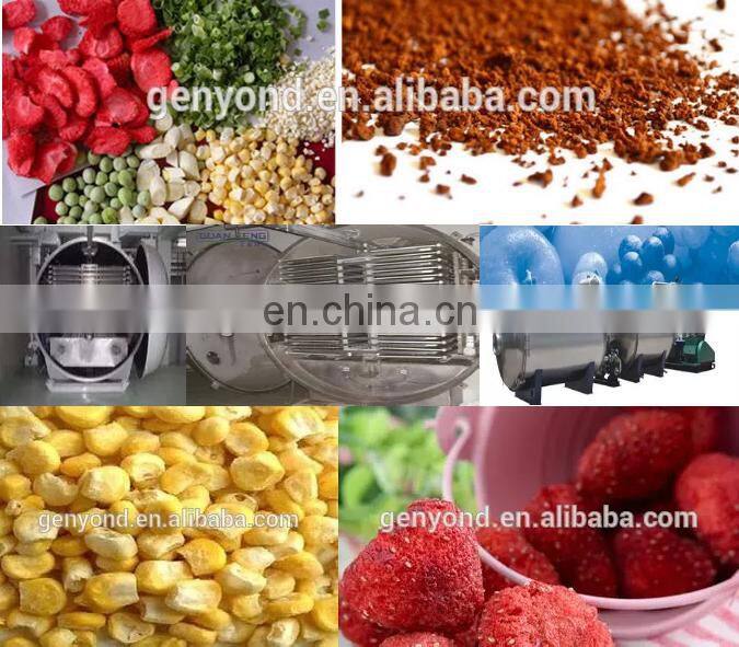 Sea Buckthorn seed powder freeze drying processing machine