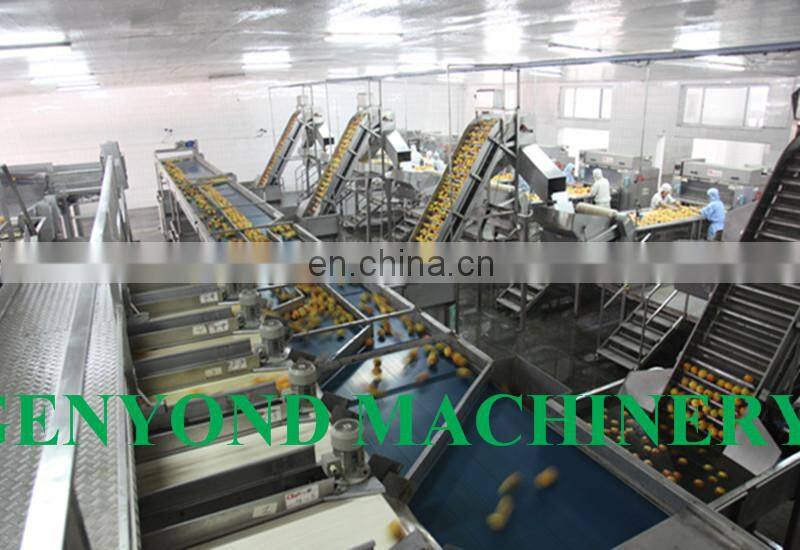 Small scale canned mandarin orange processing plant