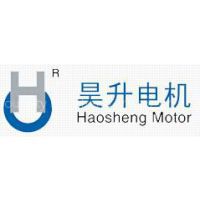 Changzhou City Haosheng Motor Co.,Ltd