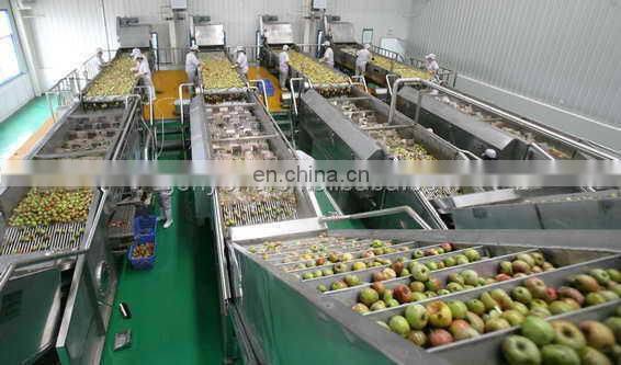 shanghai turkey orange juice processing machine/line