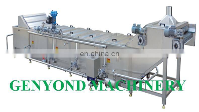 Small scale canned mandarin orange processing plant