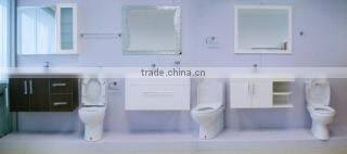 Nanhai Foshan Starry Sanitary Ware Co., Ltd. company overview - view 2