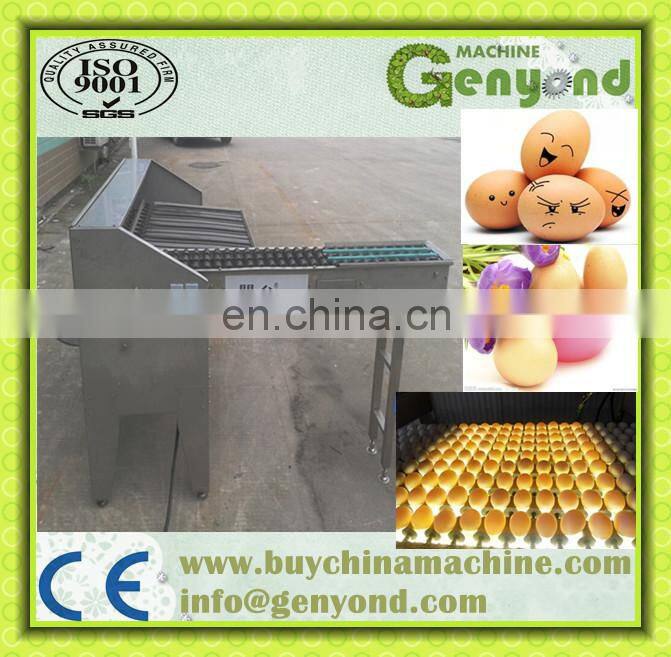 Hot sale egg grader/egg sorting machine/egg grading machine