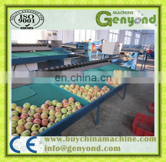 Professional Blueberry Sorter/Fruit Size Sorter Machine