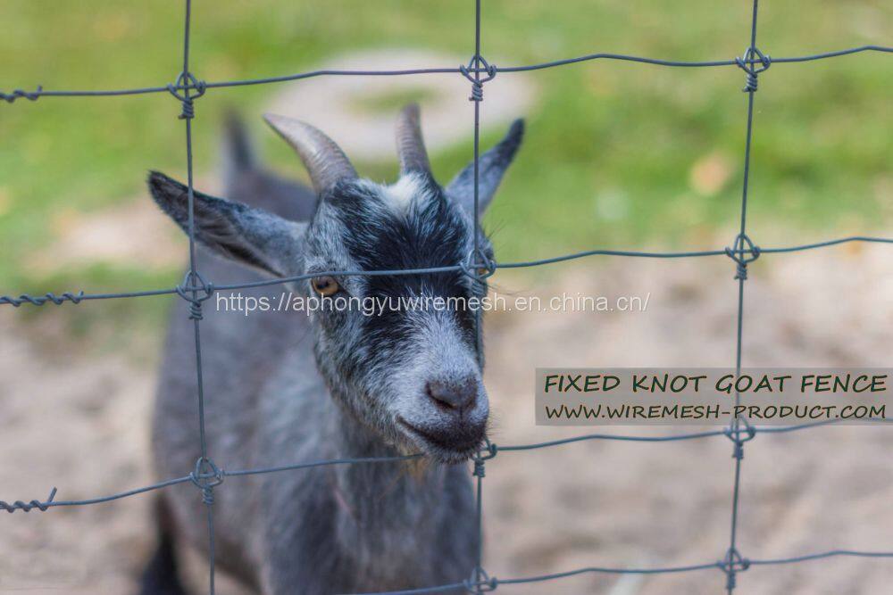 gettyimages-1149461999-2048x2048