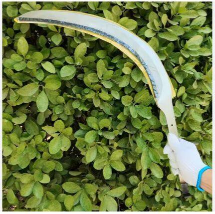 微信截图_20250623090503