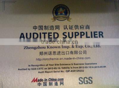 AUDIT REPORT