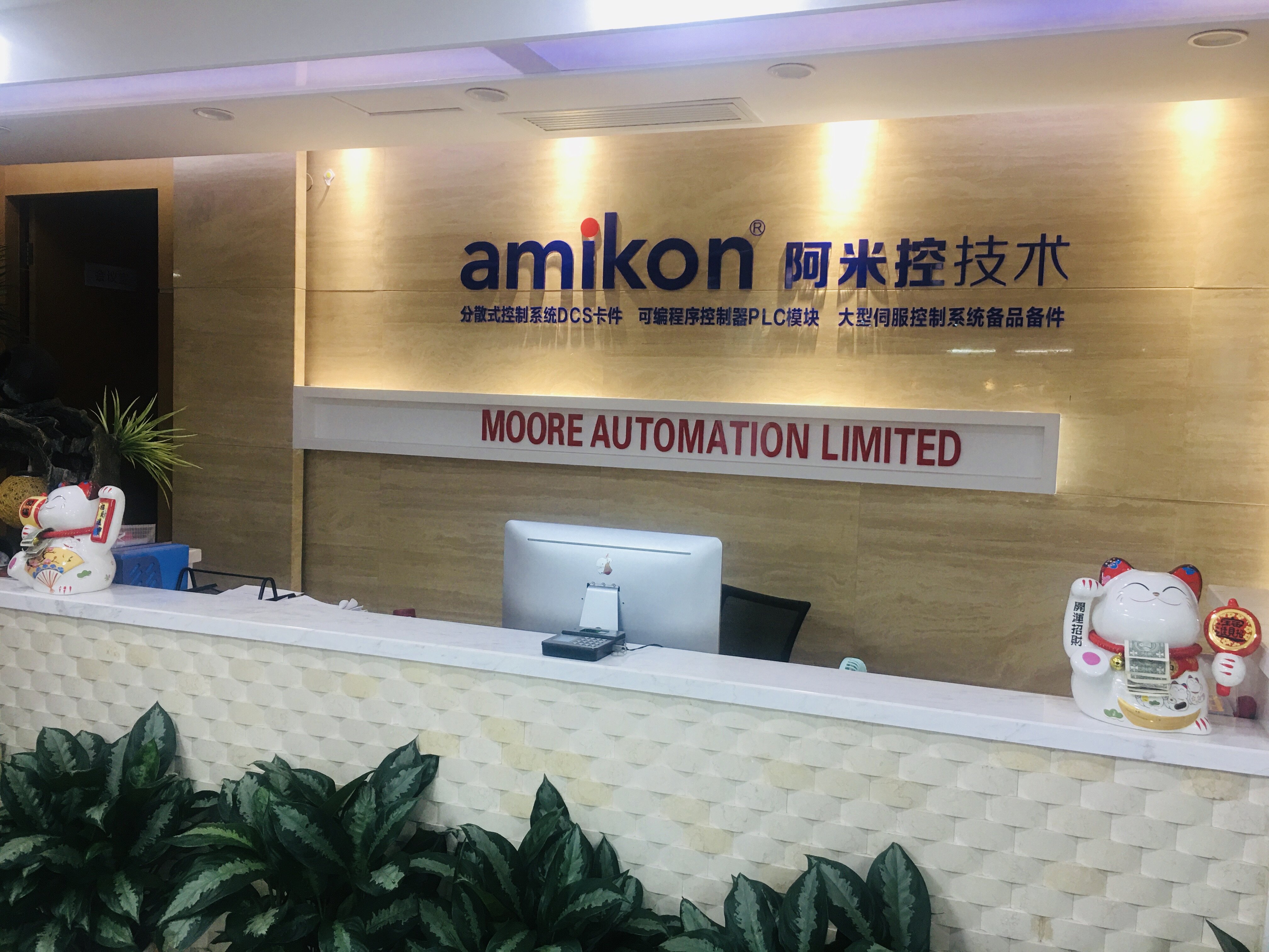 Amikon PLC AND DCS CO. company overview - view 1
