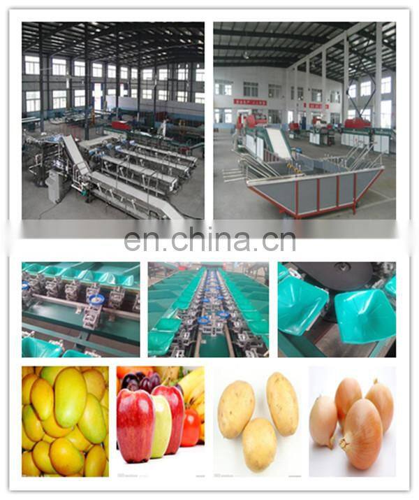 high productivity fruit nuclear gravity selector stoning machine
