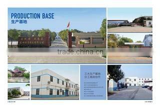 Anhui Lingmei Sporting Goods Co., Ltd. company overview - view 1