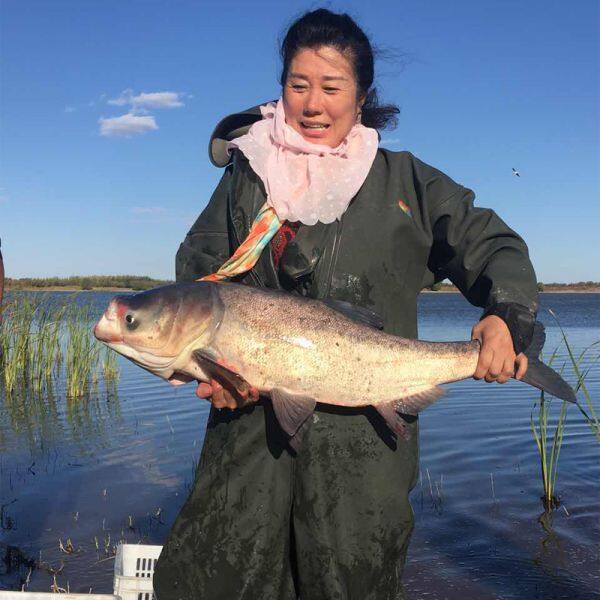 Toad Foam Fisheries Co. Ltd.. company overview - view 2