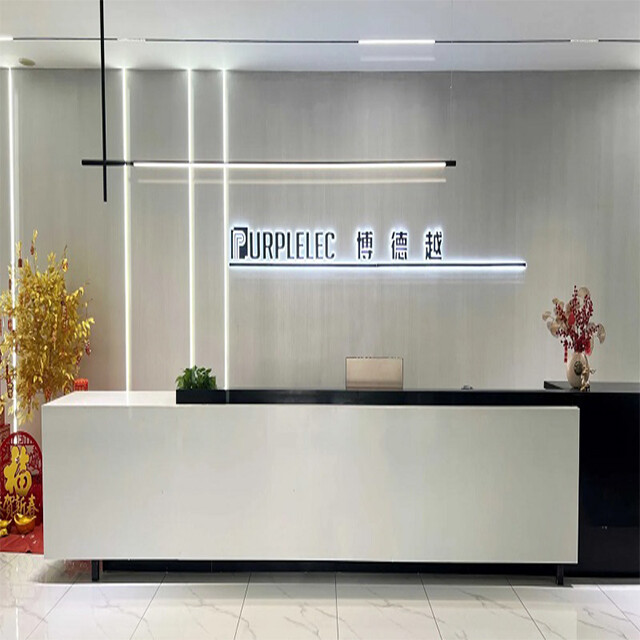 Shenzhen Bodeyue Technology Co., Ltd. company overview - view 1