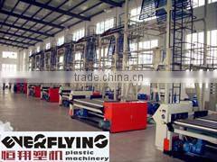 Laiwu Everflying Plastic Machinery Co., Ltd. company overview - view 3