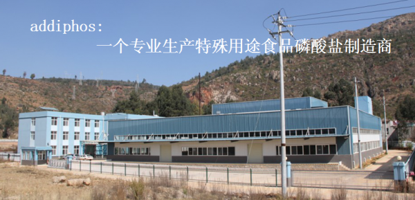 Yunnan Addiphos Technology Co., Ltd company overview - view 1