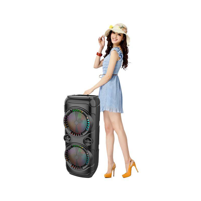 ZQS8229 wholesale subwoofer 30W power dual 8 inch speaker wireless bass sound party speaker