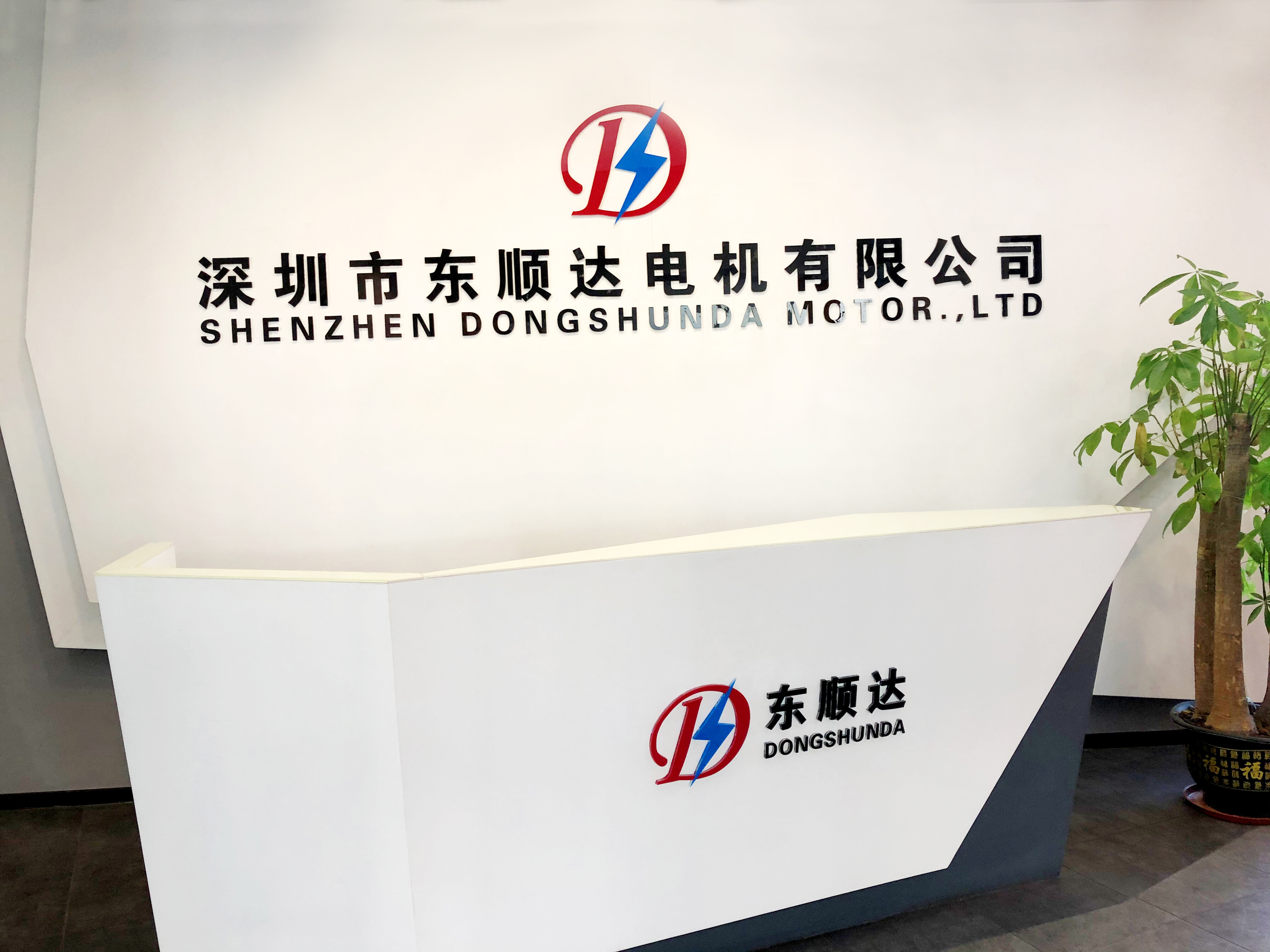 Shenzhen Dongshunda Motor Co.,Ttd company overview - view 1