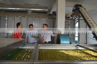 industrial raisin cleaning and sorting line / raisin processing machine