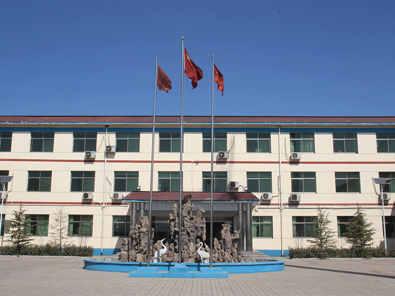 Dingzhou Weitai Fitness Equipment Co,Ltd. company overview - view 2