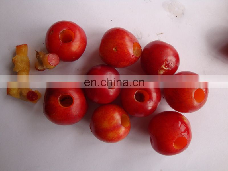 Cherry pitting machine / olive seed / cherry pit removing machine