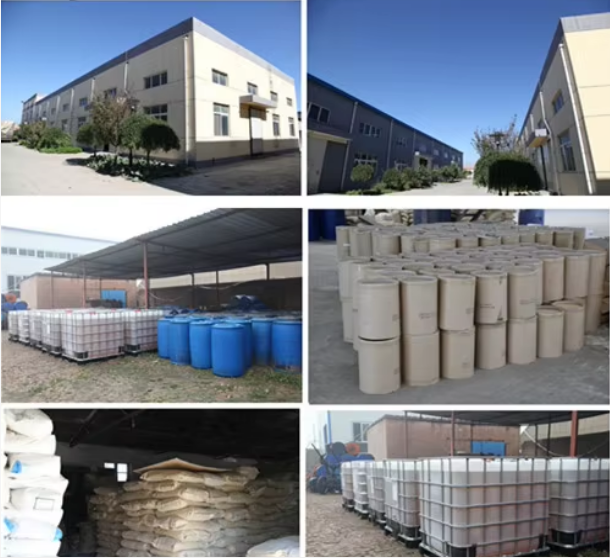 Chaoyang Serebeida Technology Co., Ltd. company overview - view 1