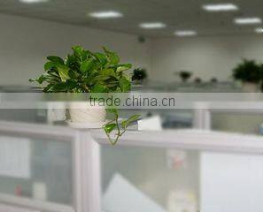 Zhengzhou Hongdetang Health Industry Co., Ltd. company overview - view 3