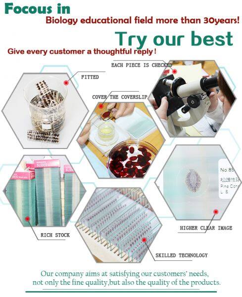 Xinxiang Hongye Edu. Instrument Co.,Ltd. company overview - view 1