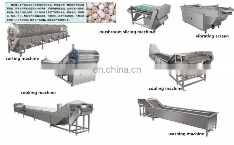 canned mushroom production line