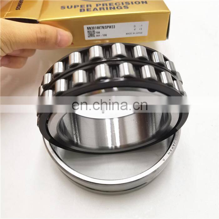 Double Row NN3009 KTN/SP Cylindrical Roller Bearing NN 3009 KTN/SP Bearing