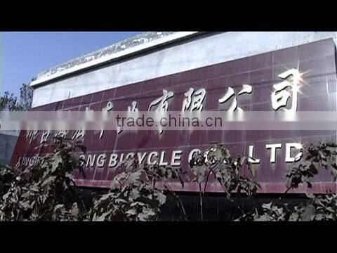 Xingtai Haihong Cycle Co., Ltd. company overview - view 1