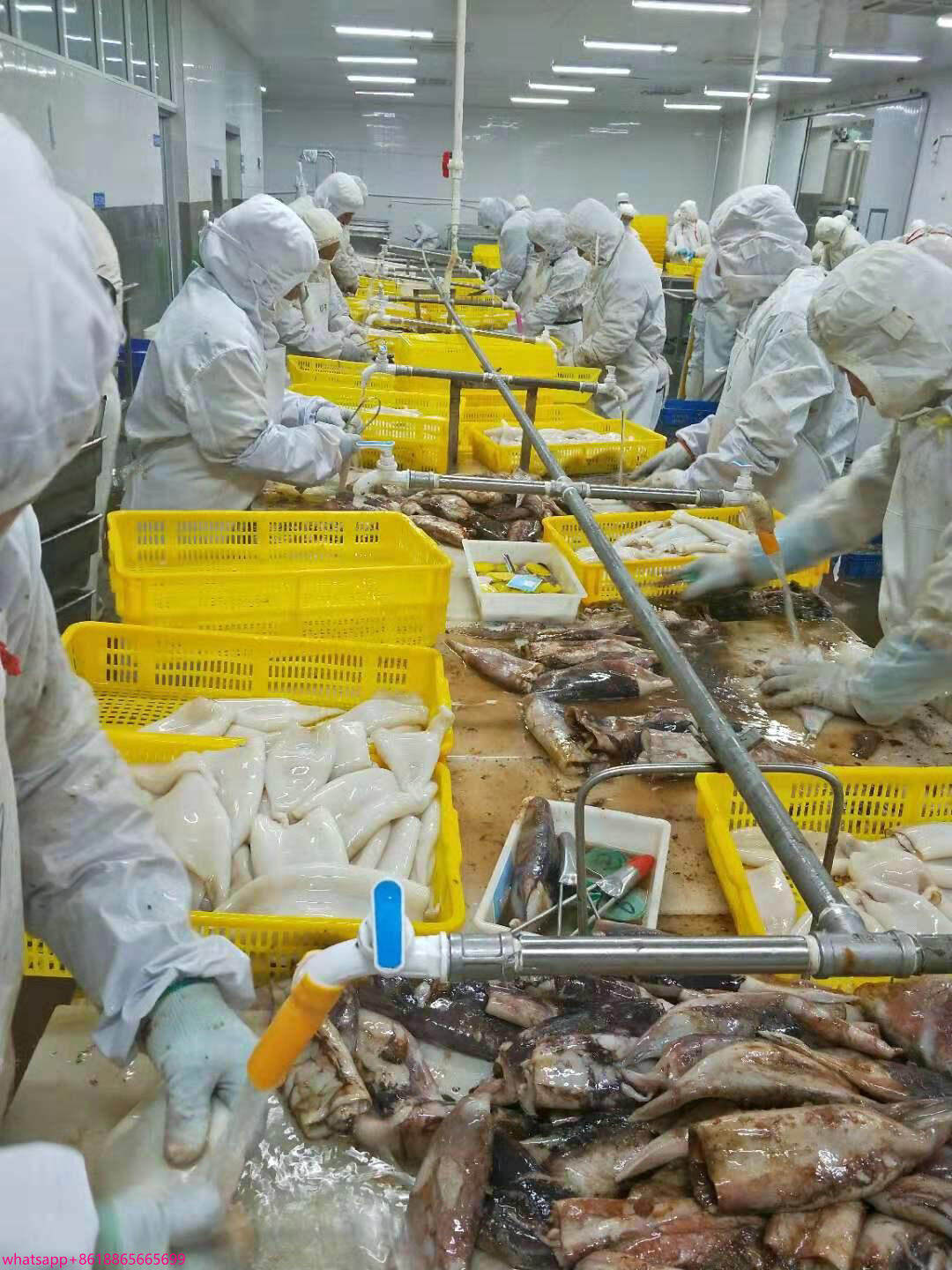 Yantai Transocean Foodstuff Co.,Ltd company overview - view 3