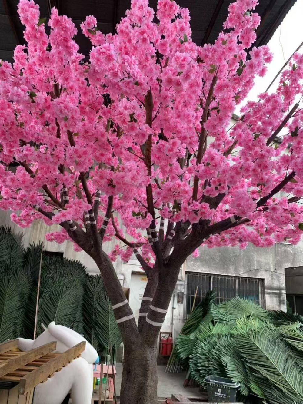 樱花树-cherry (2).jpg