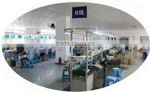 Shenzhen Delong Energy Technology Co., Ltd. company overview - view 2