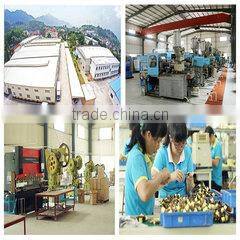 Guangdong GT Ultrasonic Co., Ltd. company overview - view 2