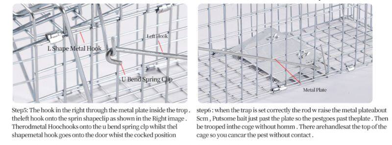 Humane Live Animal Cage Trap Kit for Humane Catch Release Rodent Small Cat, Rabbits, Squirrel, Opossum, Squire, Raccoon