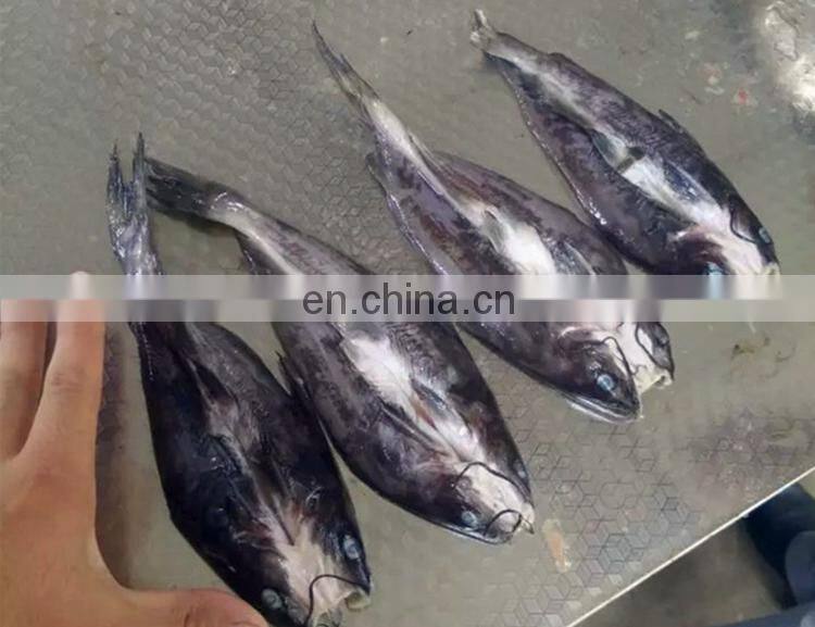 automatic fish cleaner/fish cleaning machine/fish descaler